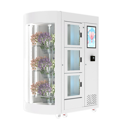 Befeuchter halten frische Blumen-Automaten mit kühlen Kühlsystem 240V