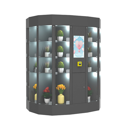 Frische Blumen-Schließfach-Automat 240V mit kühlen Kühlsystem
