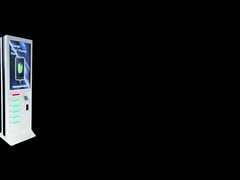 Du brauchst eine Ladestation mit niederländischer Sprache!